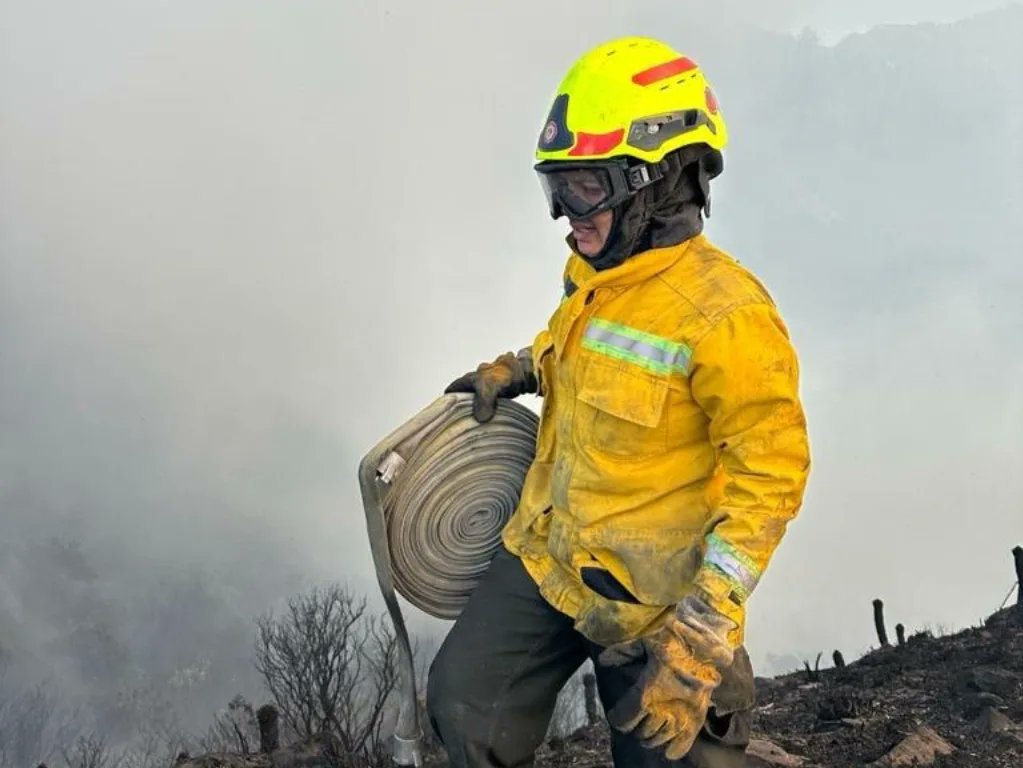 Nuevo incendio en Bogotá ciudadanos reportan llamas cerca al Cerro